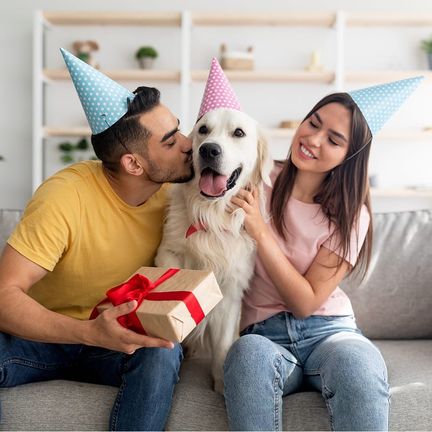 A dog wearing a party hat and its 2 owners