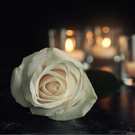 A white rose with candles in the background