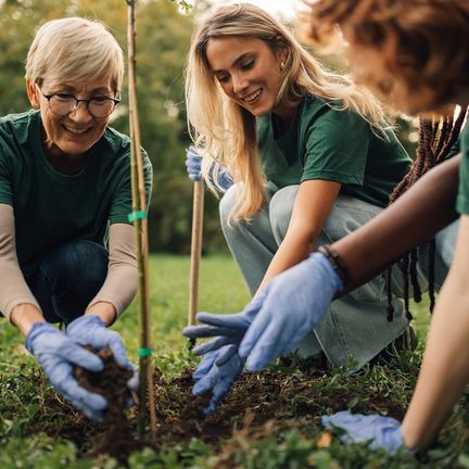 A group of volunteers working together to plant a tree